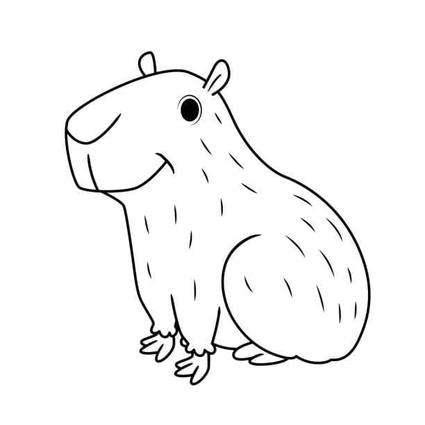 Capibara afdrukbare basis
