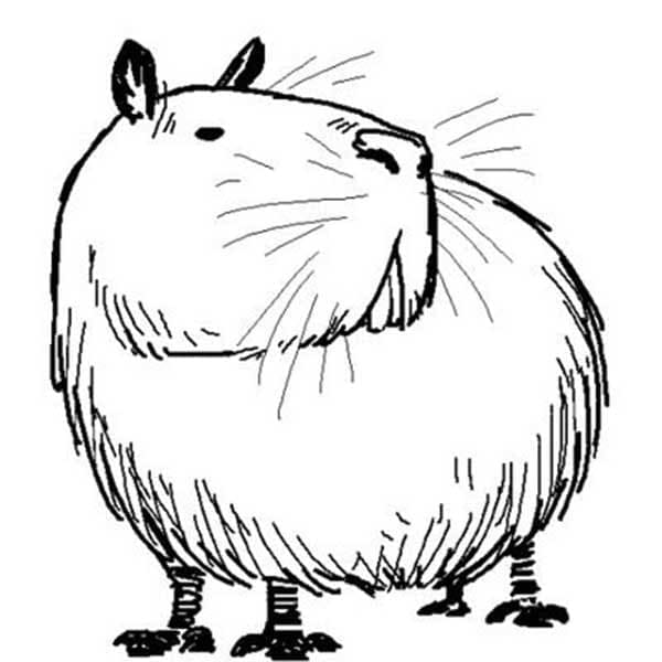 Capibara afdrukbare eenvoudig