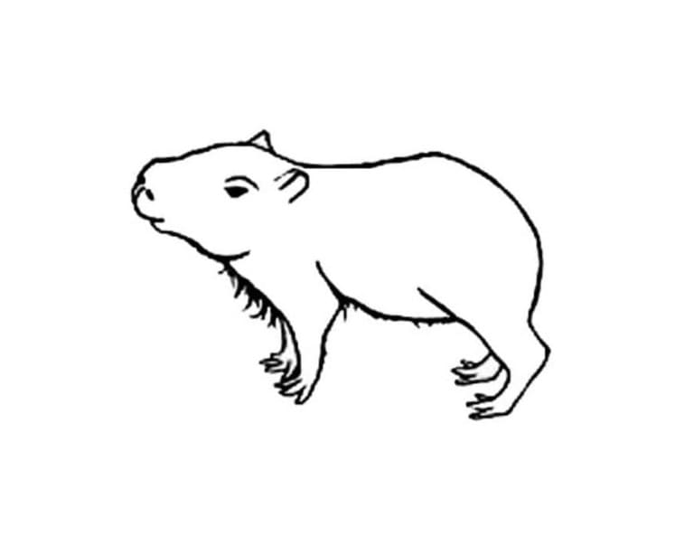 Capibara gratis afdrukbare simpel