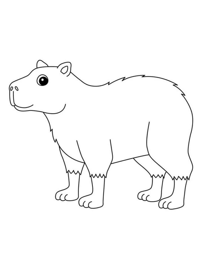 Capibara gratis simpel