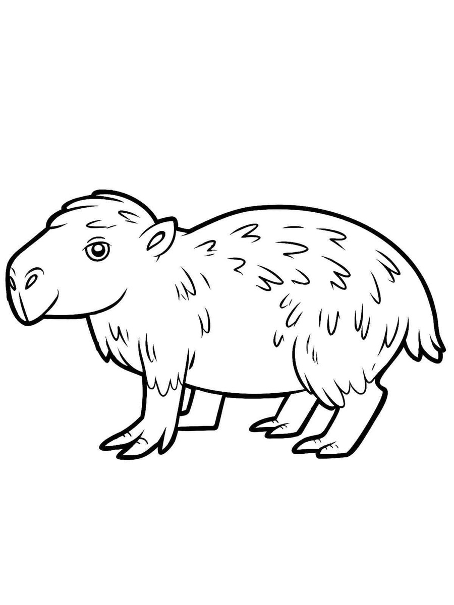 Capibara schetsen