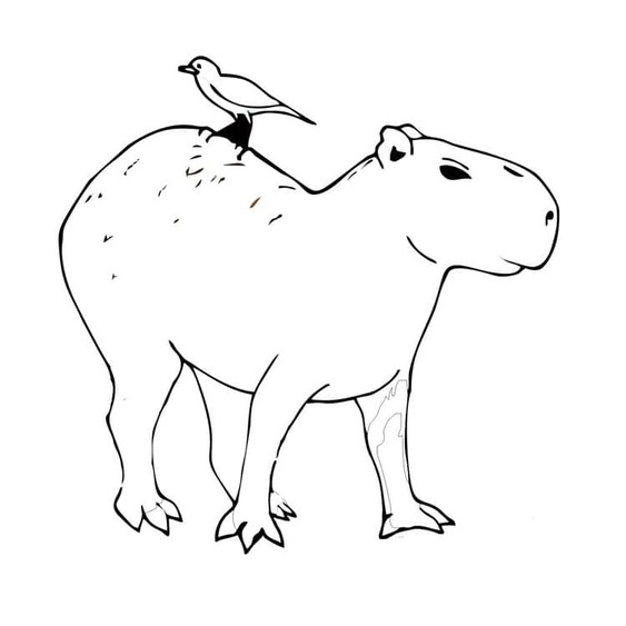 Capibara voor kinderen