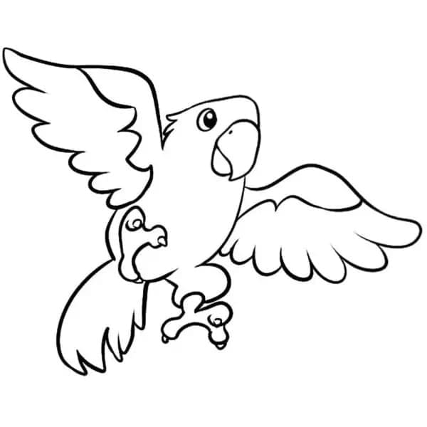 Papegaai 8