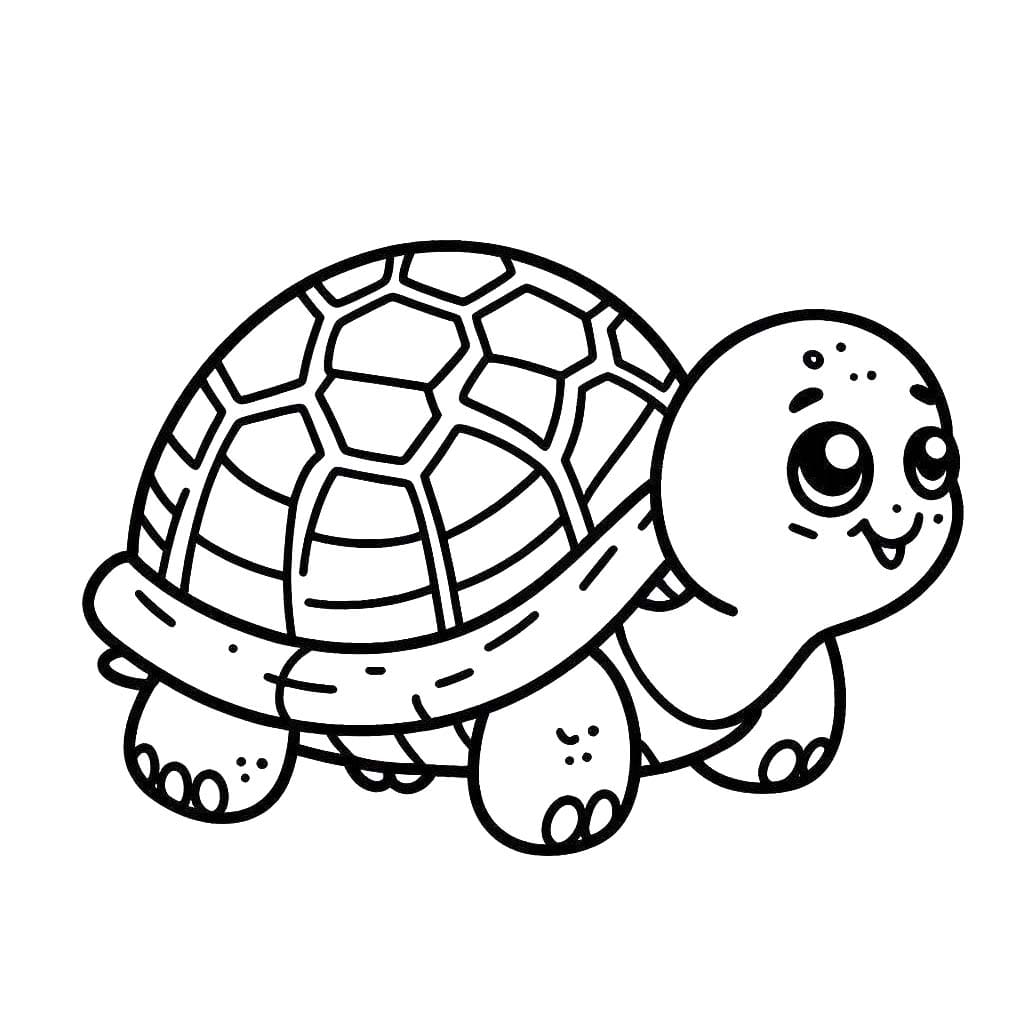 Schildpadden 1