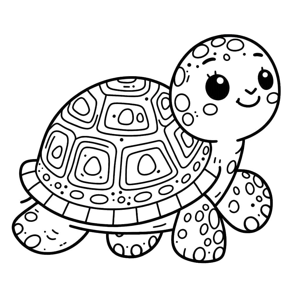 Schildpadden 6