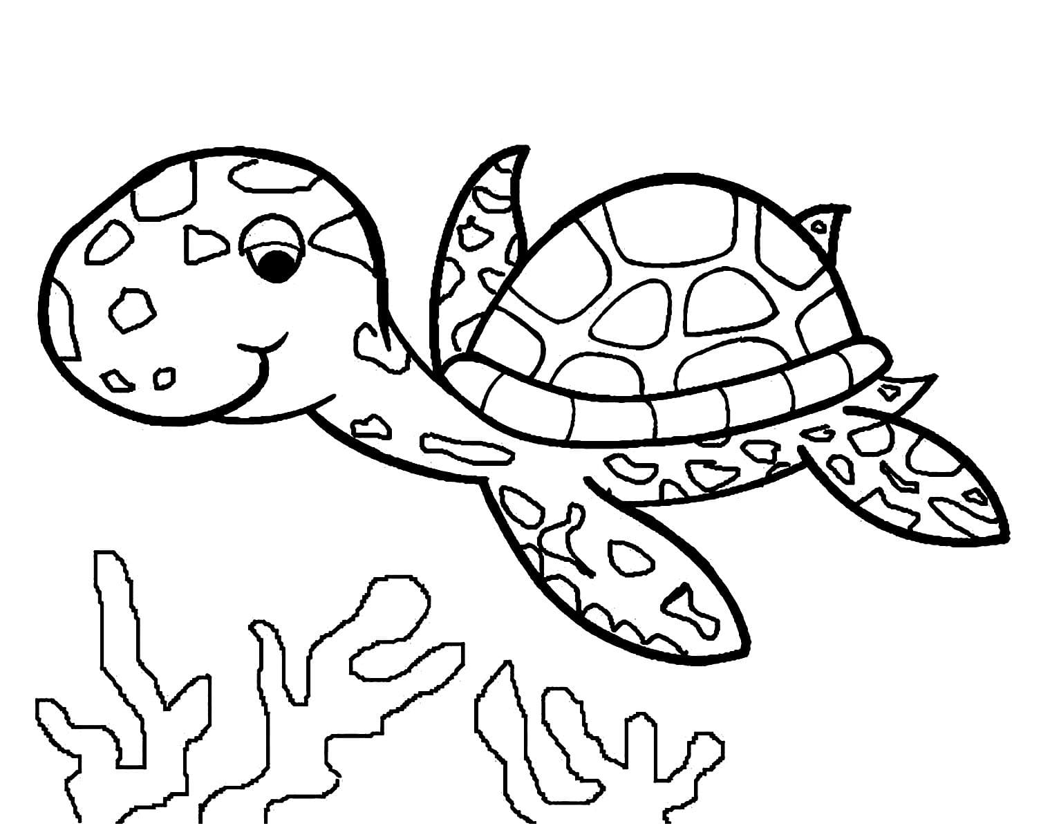 Schildpadden 7