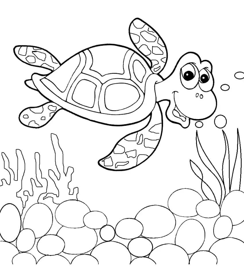 Schildpadden 8