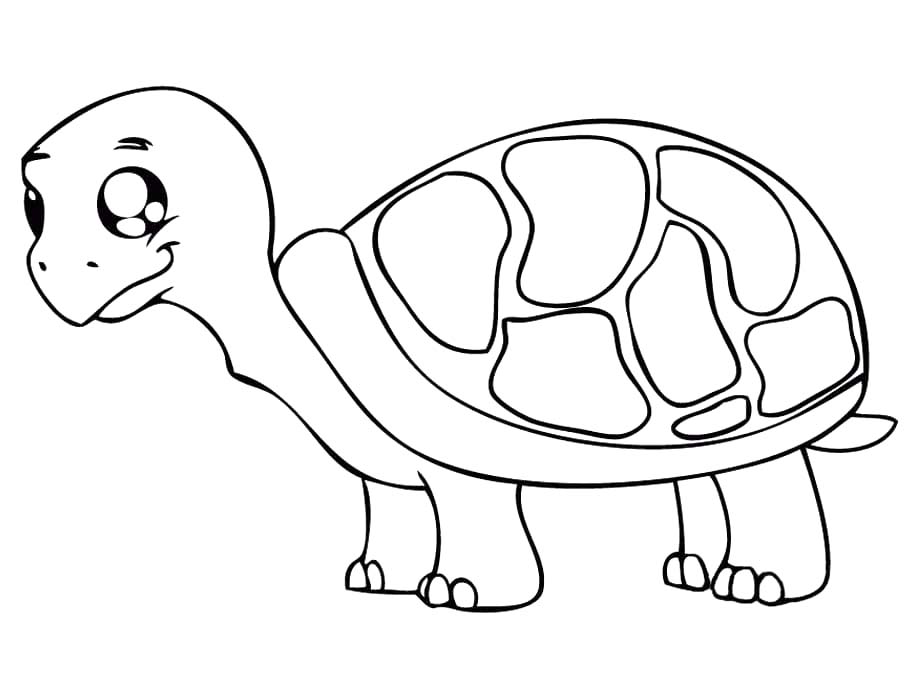 Schildpadden afdrukbaar voor kinderen