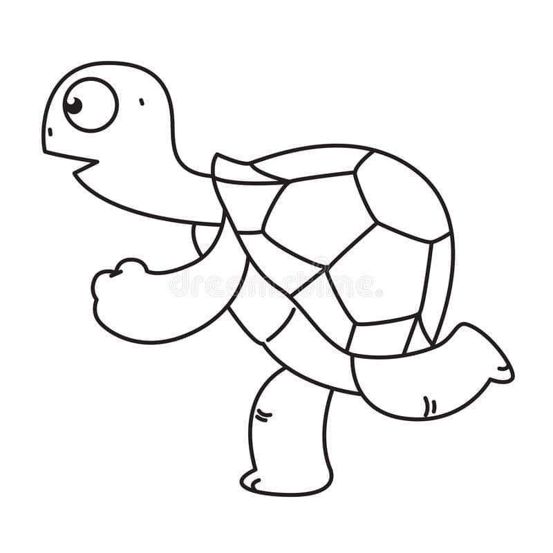 Schildpadden gratis afdrukbaar