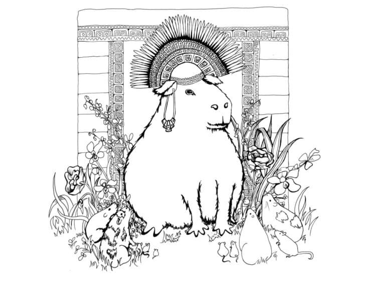 Tekenen Capibara 6