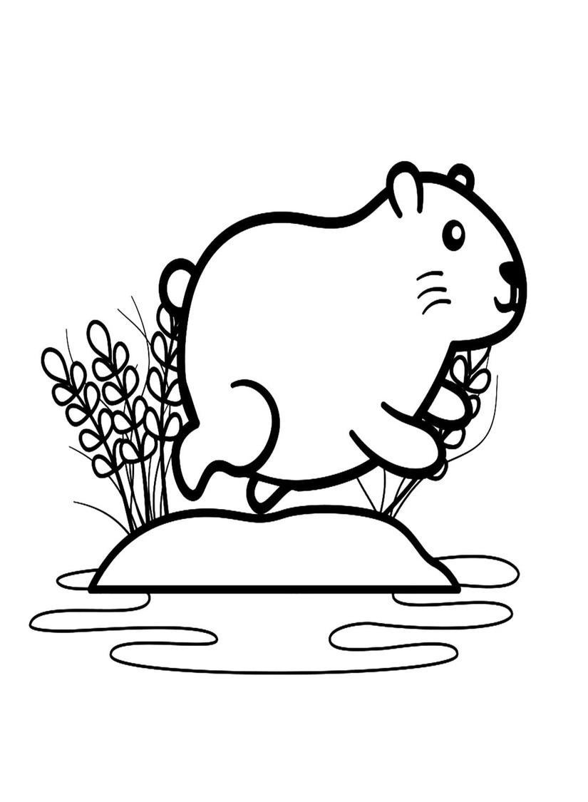 Tekenen Capibara schattig
