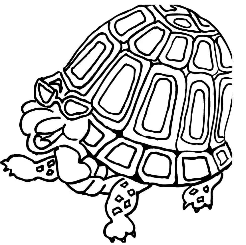 Tekenen Schildpadden eenvoudig