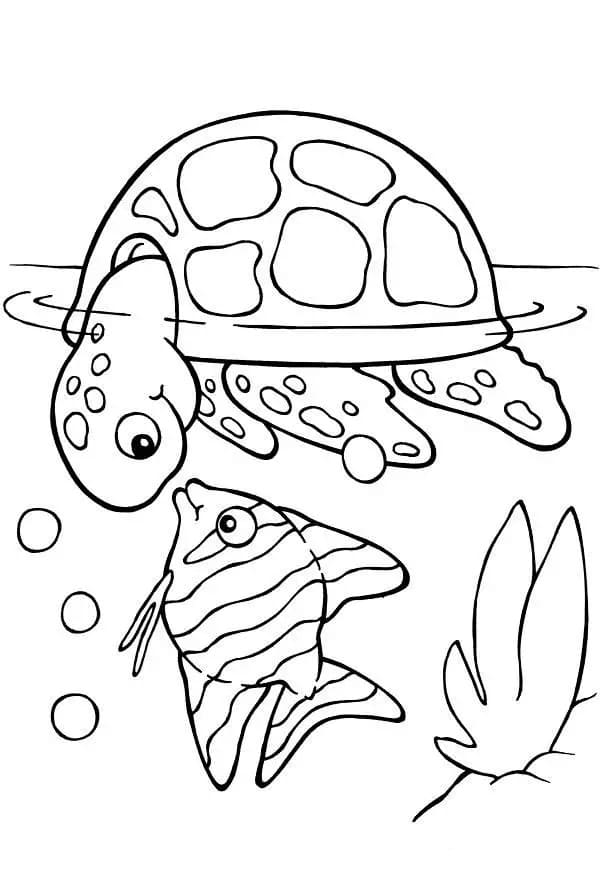 Tekenen Schildpadden en vis