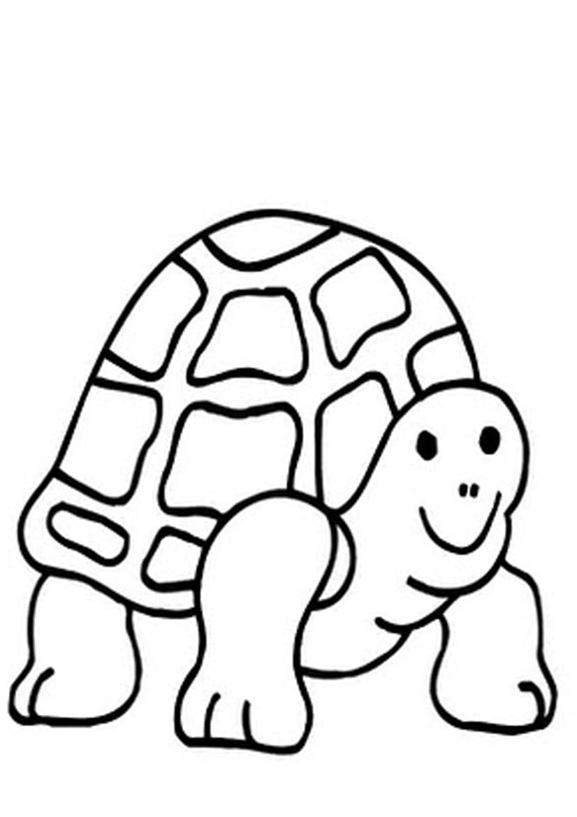 Tekenen Schildpadden glimlachend