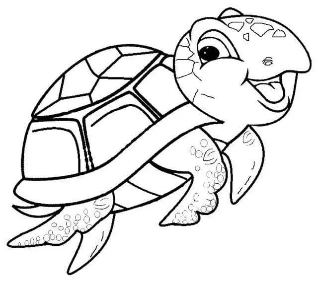 Tekenen Schildpadden gratis