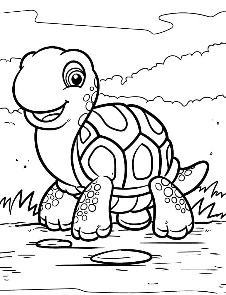 Tekenen Schildpadden gratis voor kinderen