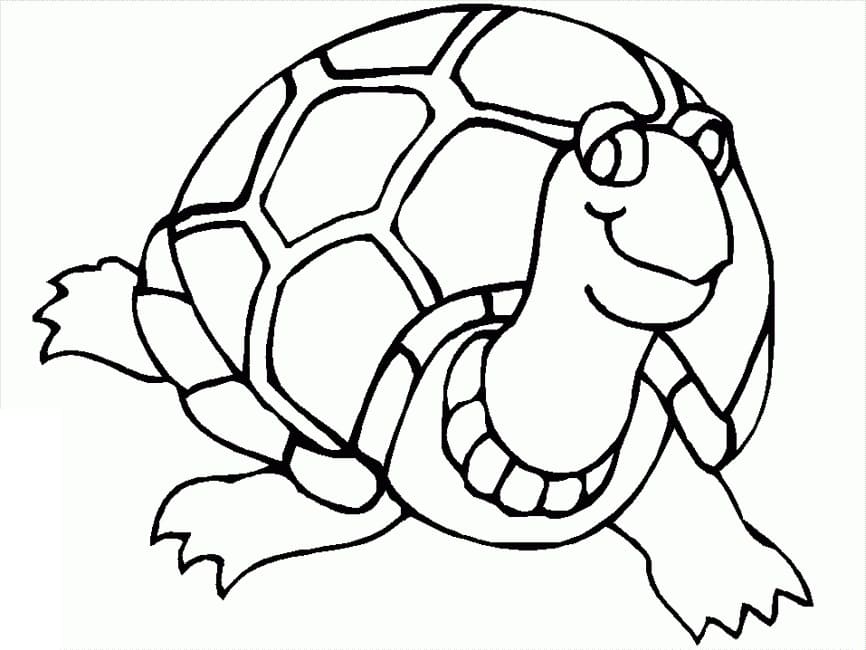 Tekenen Schildpadden