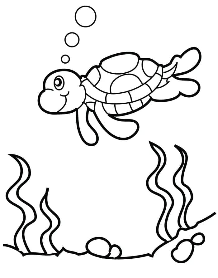 Tekenen Schildpadden onder de zee