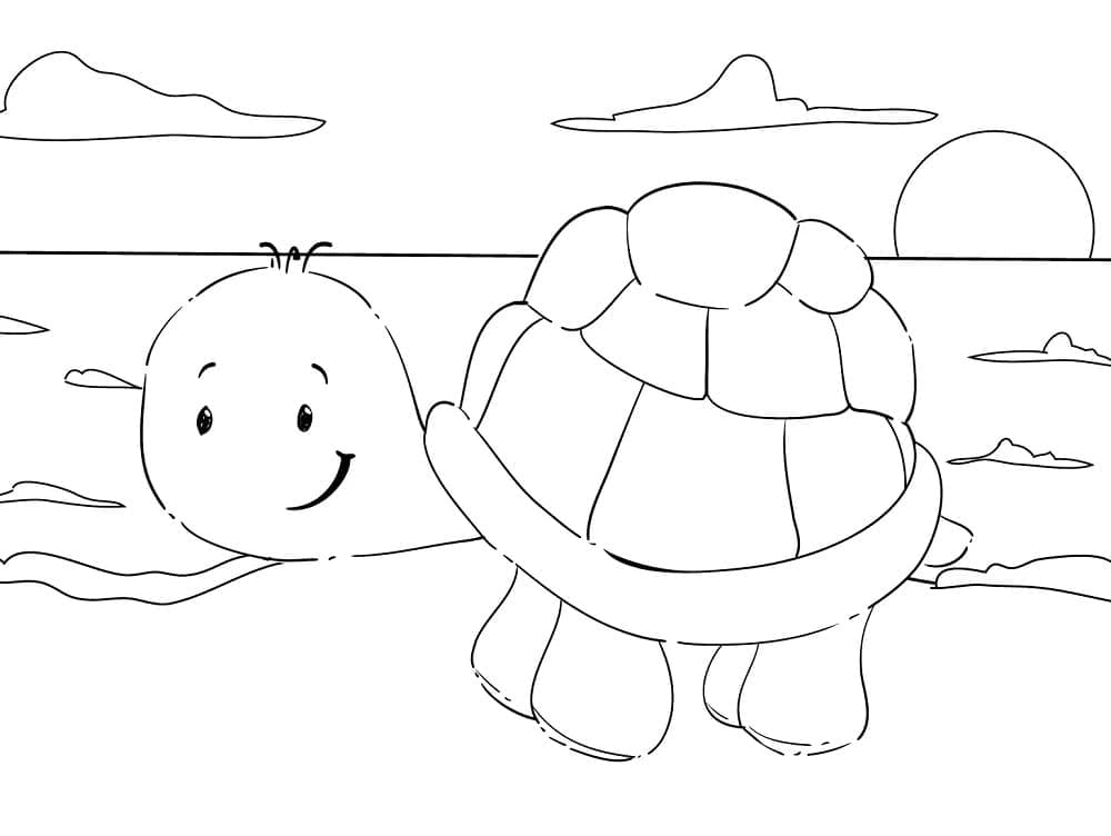Tekenen Schildpadden op zee