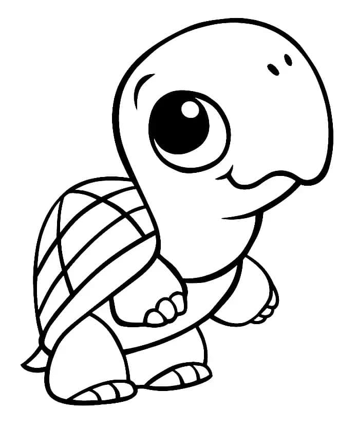 Tekenen Schildpadden schattig