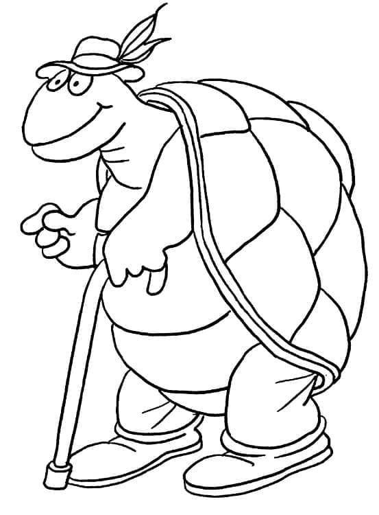 Tekenen Schildpadden schetsen
