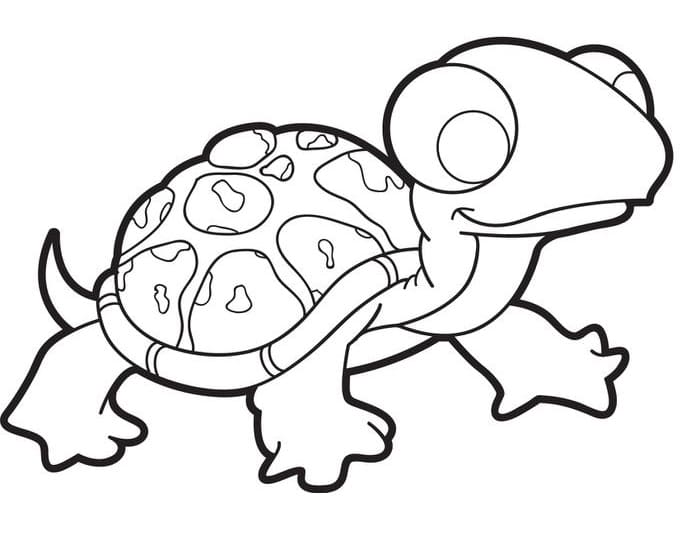 Tekenen Schildpadden simpel