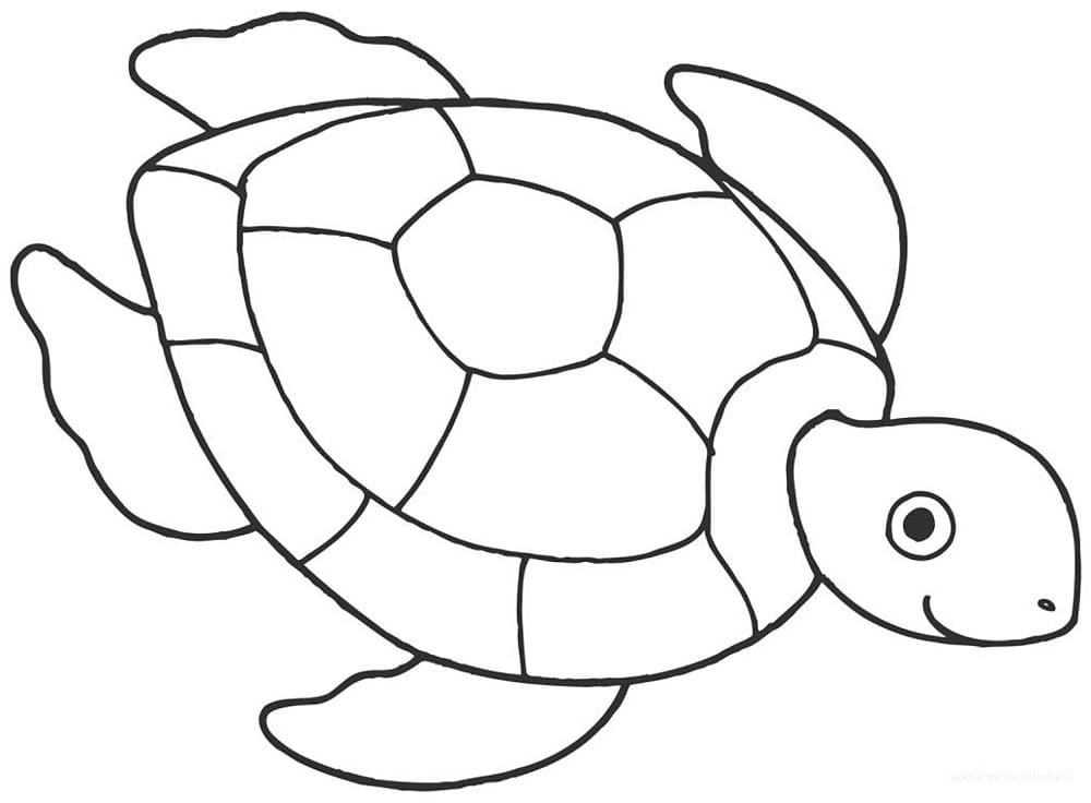 Tekenen Schildpadden voor kinderen