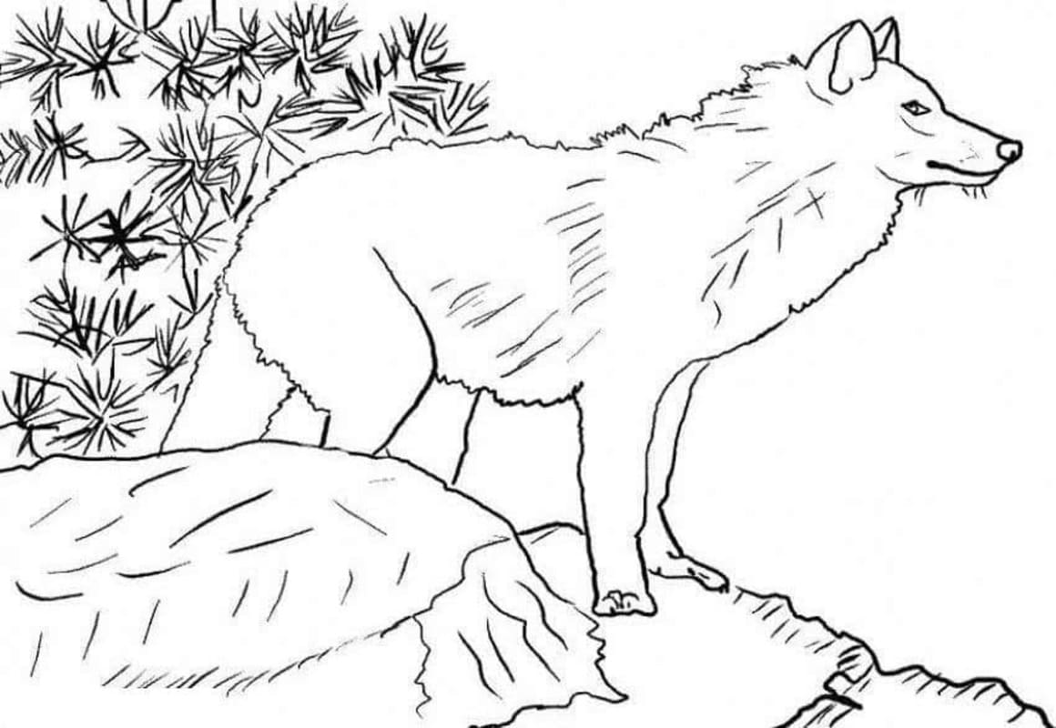 Tekenen Wolven gratis afdrukbare eenvoudig