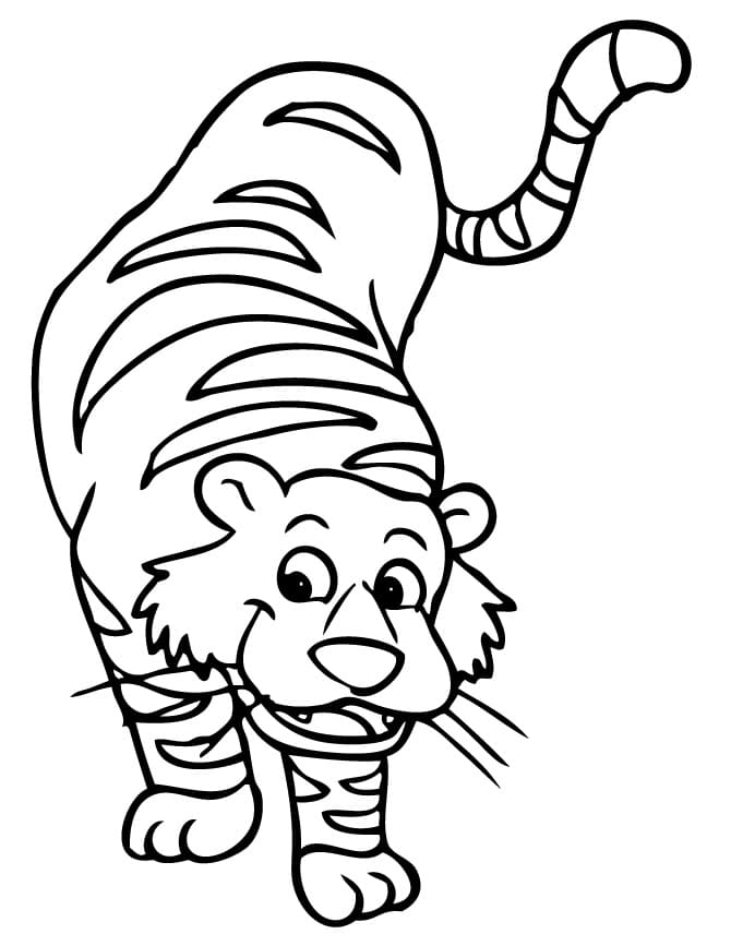 Tijger 7