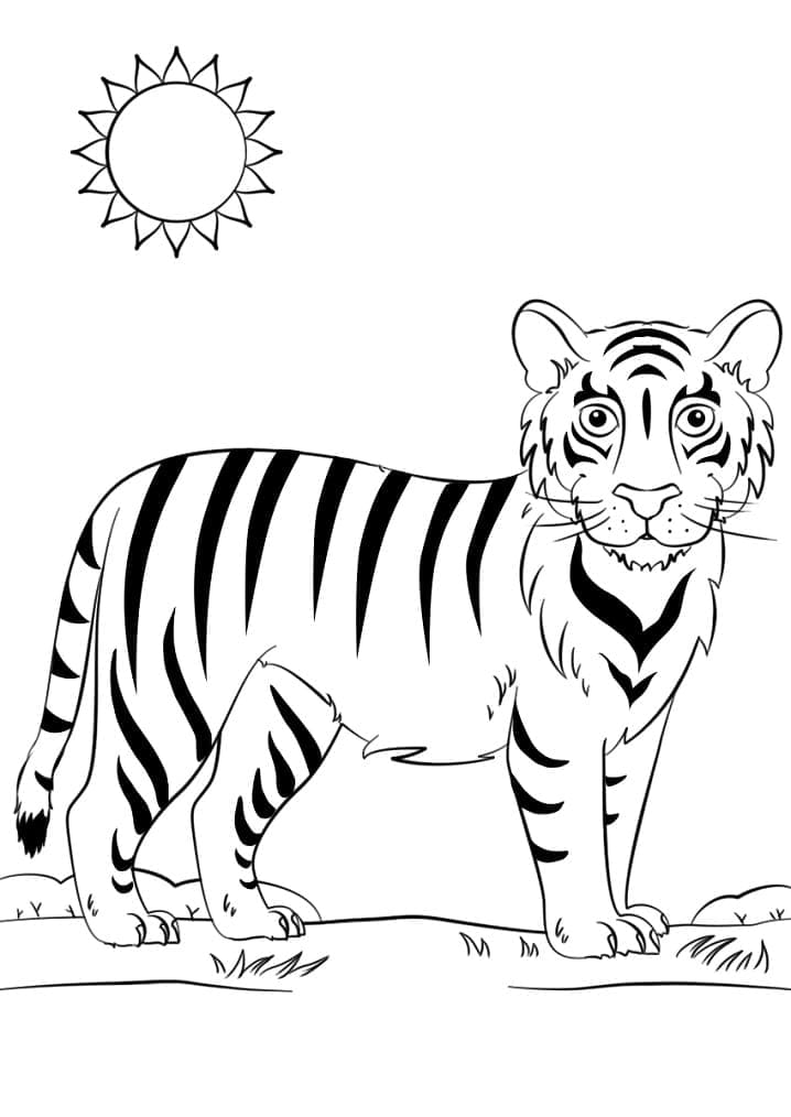 Tijger 8
