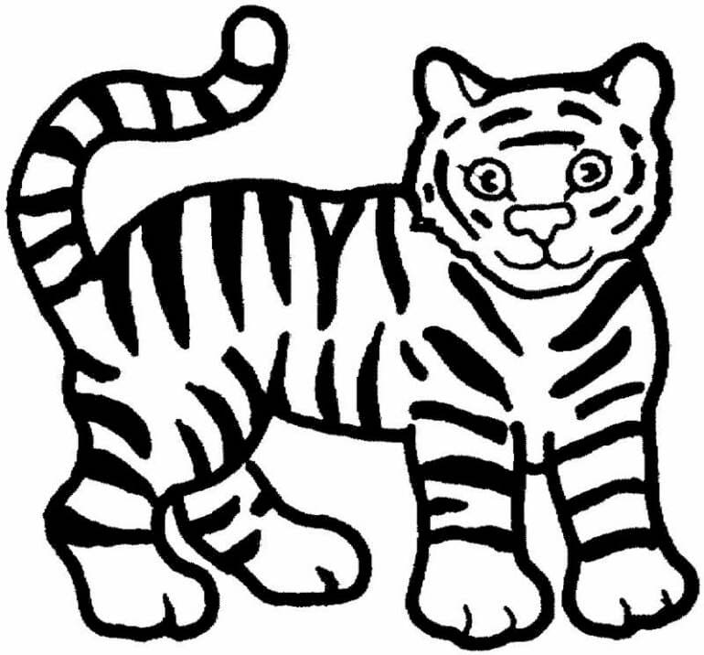 Tijger