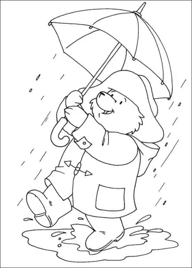 Paddington gratis basis