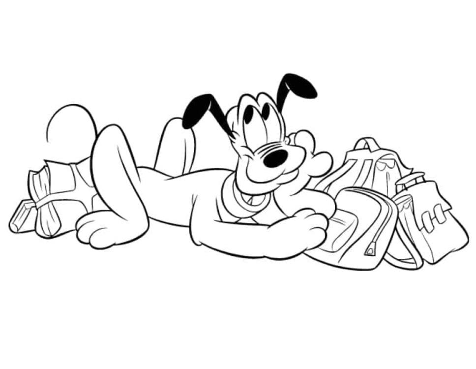 Pluto gratis basis