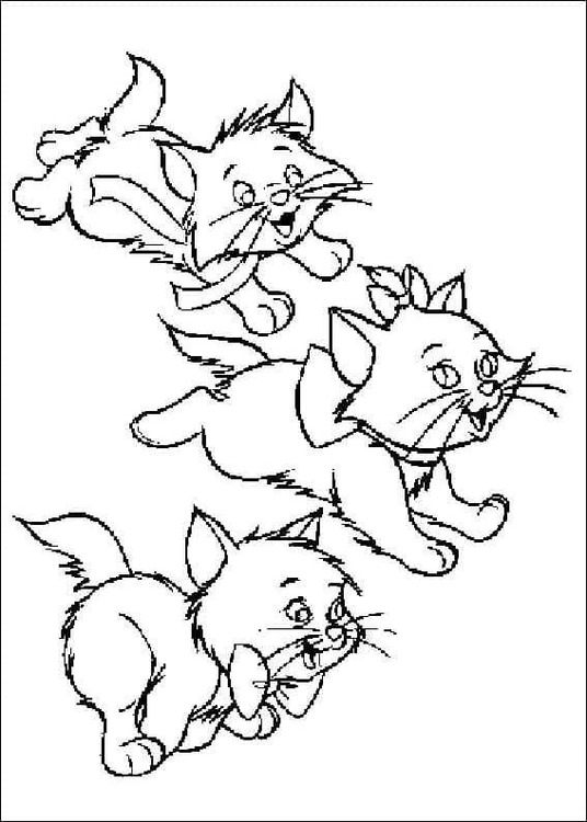 Tekenen Aristokatten 5