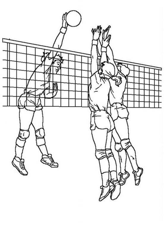 Tekenen Volleybal afdrukbaar simpel Tekenen Volleybal afdrukbaar simpel