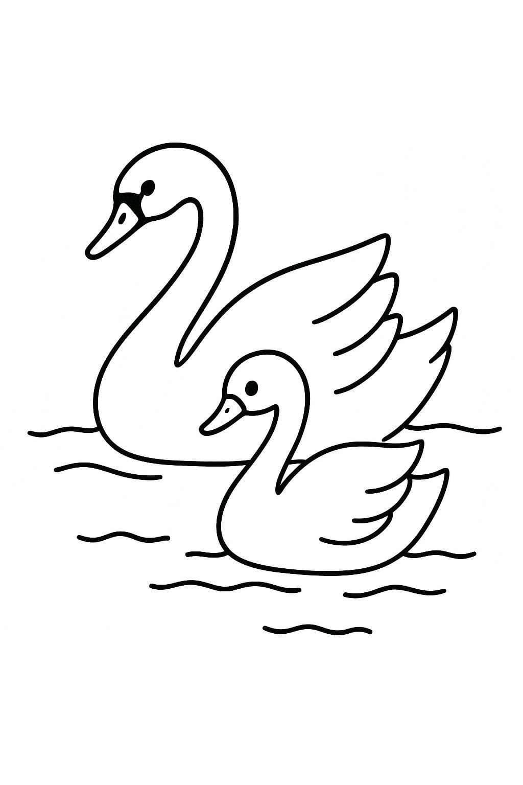 Zwanen 5