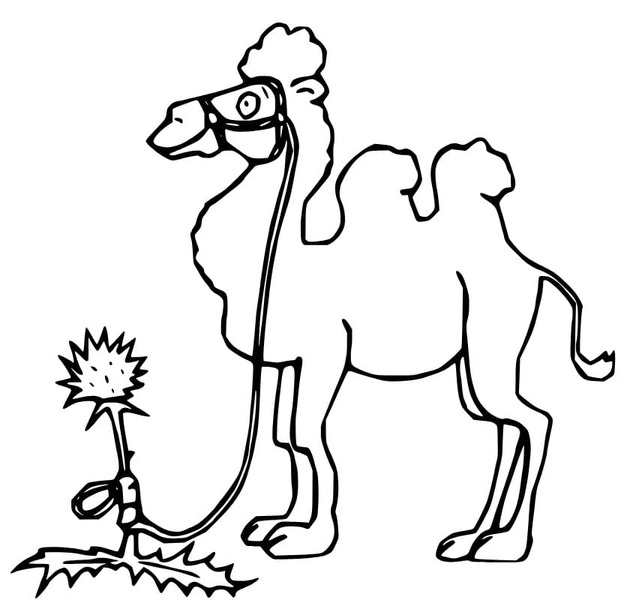 Kameel afdrukbaar eenvoudig