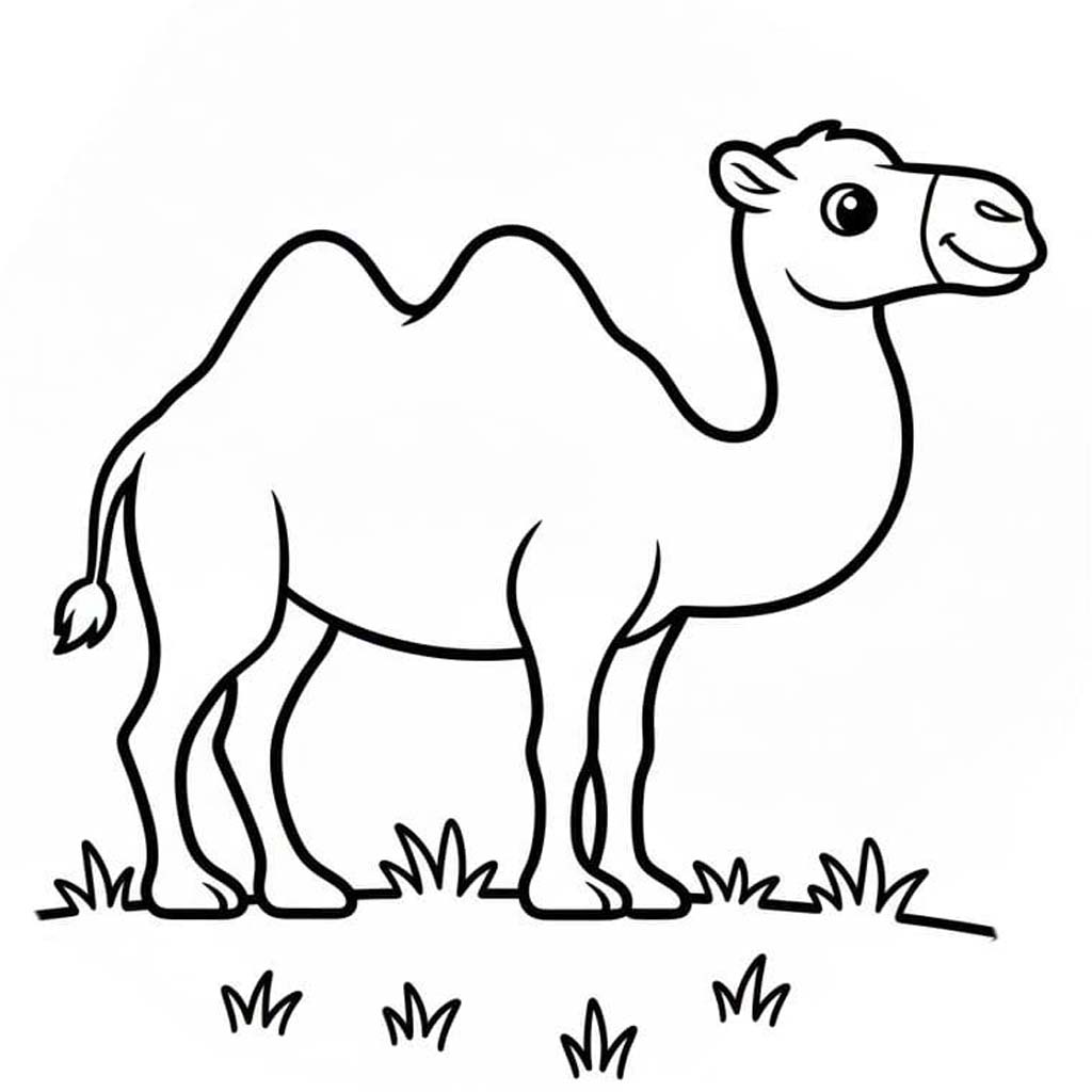 Tekenen Kameel afdrukbaar