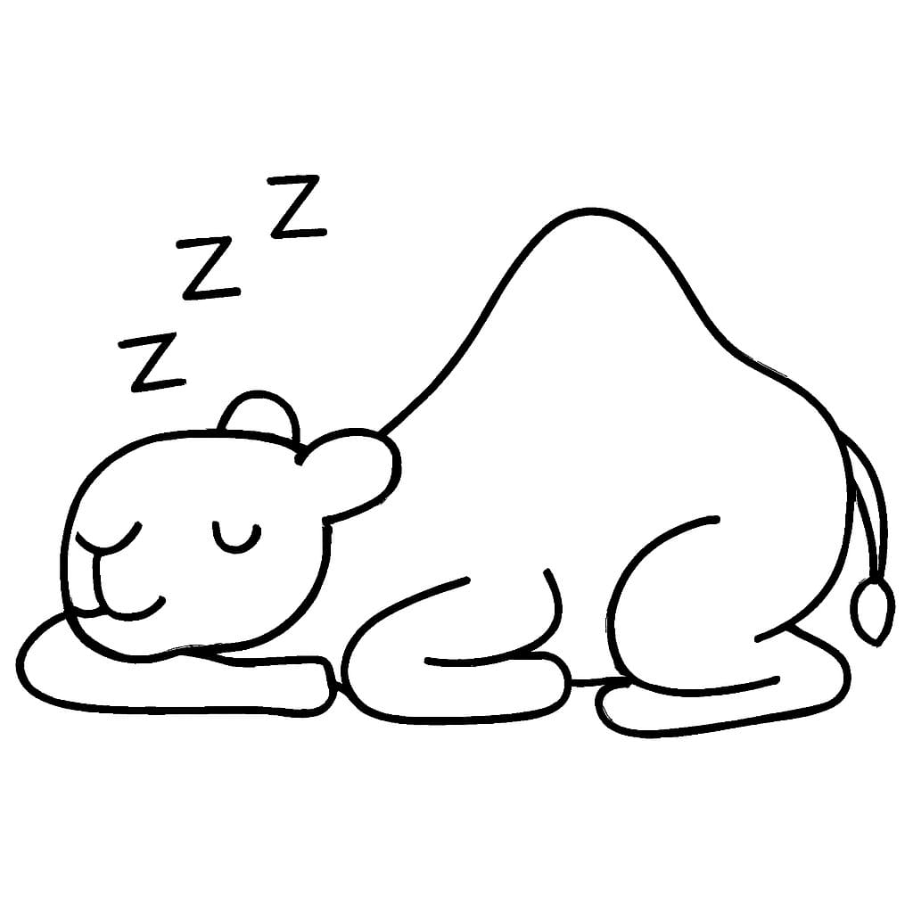 Tekenen Kameel gratis afdrukbaar basis