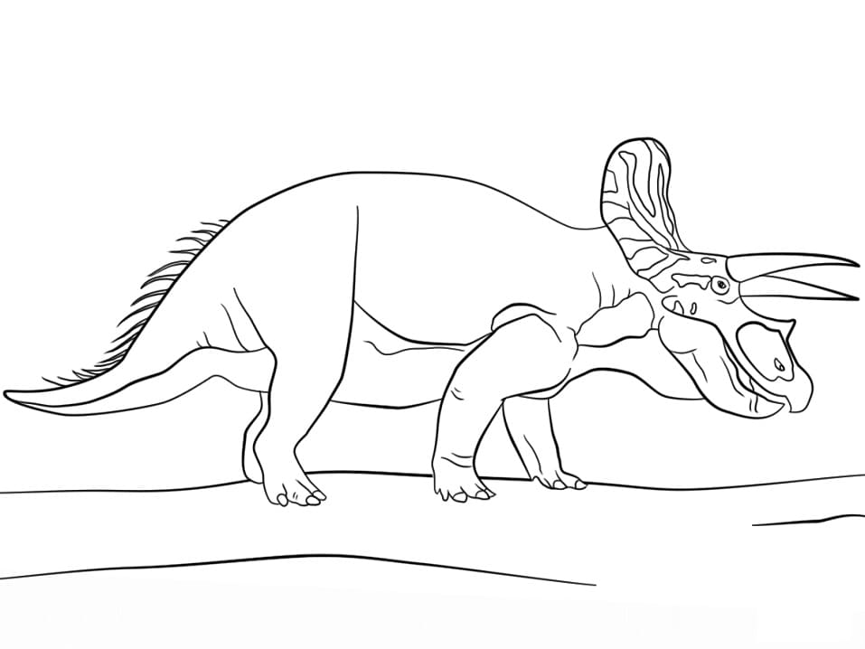 Tekenen Triceratops basis