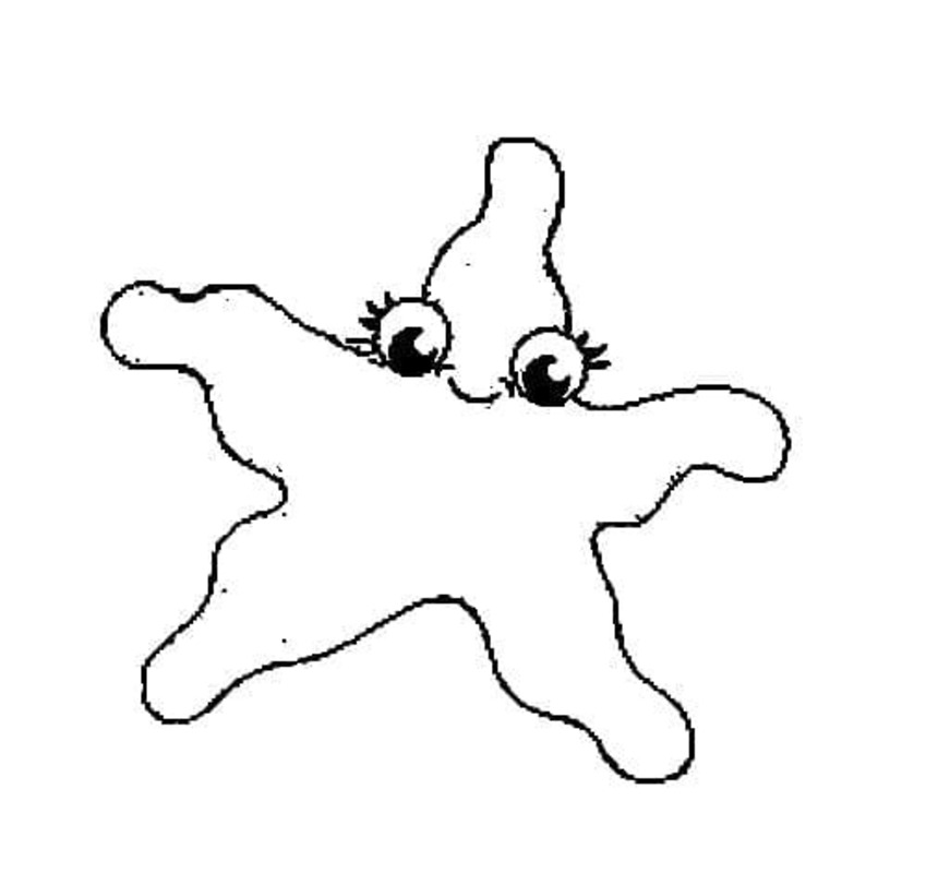 Zeester gratis voor kinderen