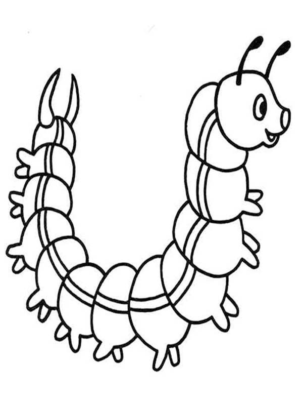 Rups afdrukbaar voor kinderen