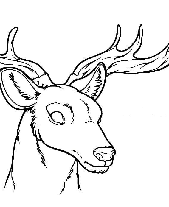 Tekenen Rendier afdrukbaar simpel