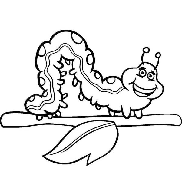 Tekenen Rups gratis afdrukbaar basis