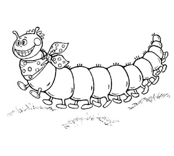 Tekenen Rups gratis basis