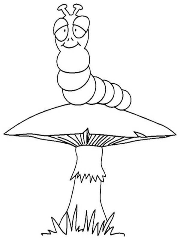 Tekenen Rups voor kinderen