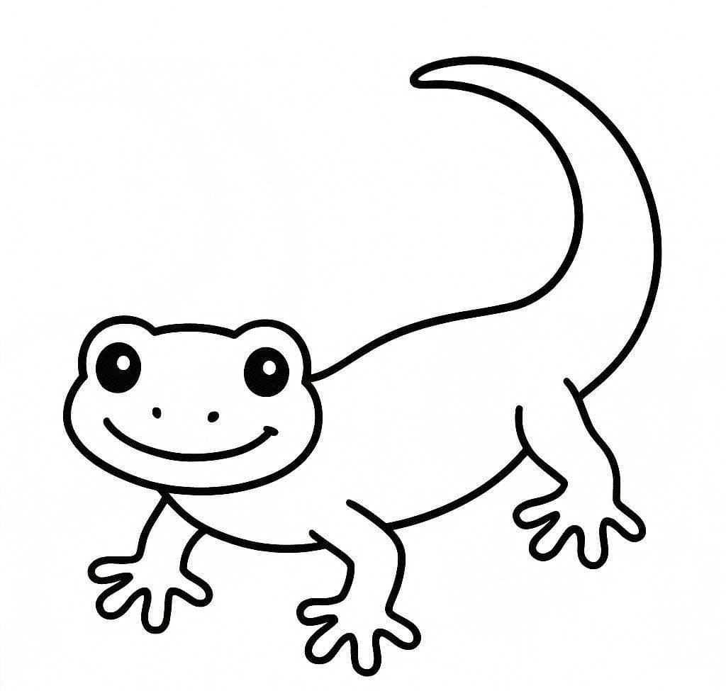 Tekenen Salamander 7