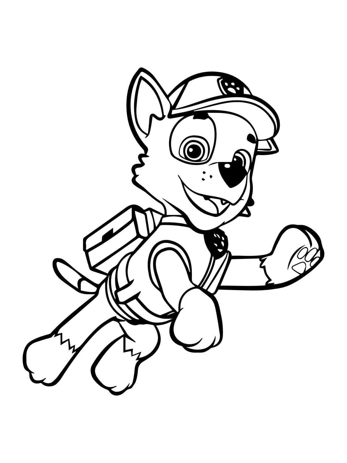 Afbeelding Rocky Paw Patrol