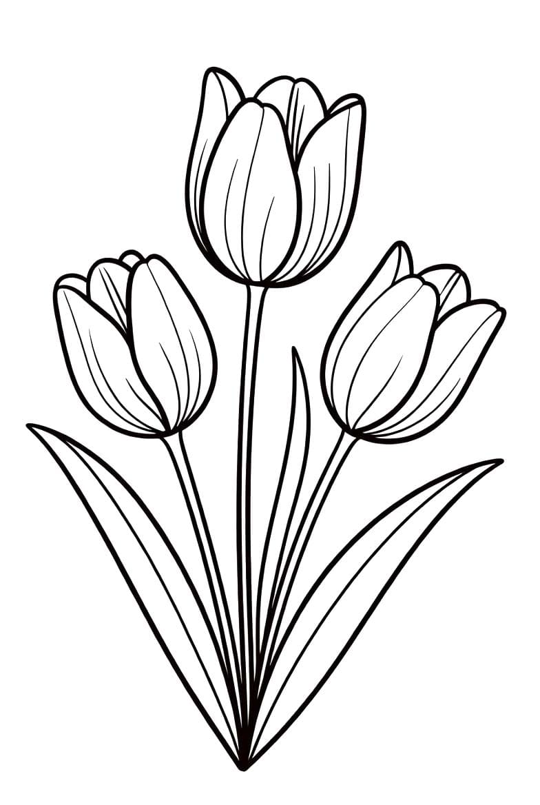 Afbeelding Tulpen