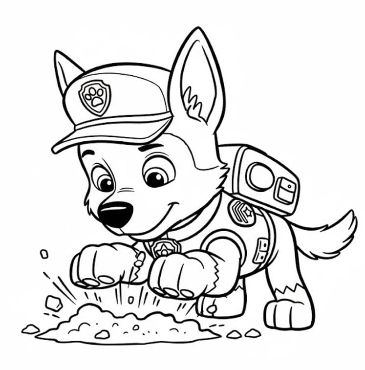 Chase Paw Patrol voor kinderen